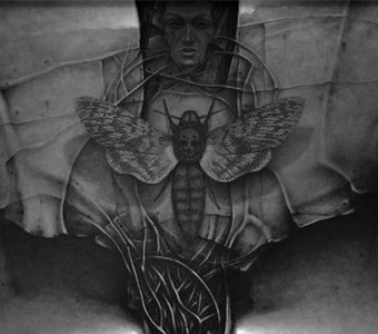 Jacek Kolatorowicz, Ćma 48x64 płyta pilśniowa